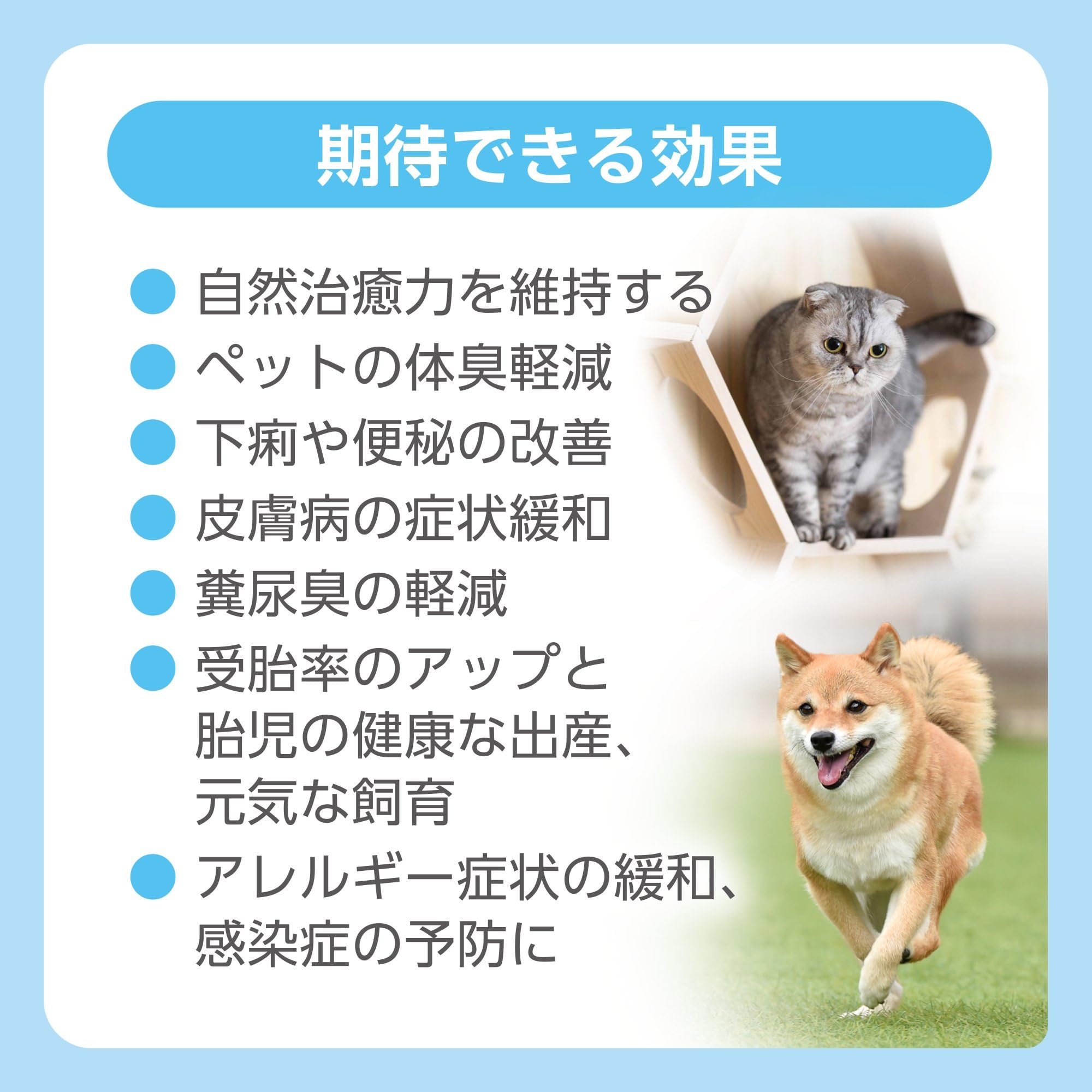 Amazon | MAX-PROBIO ペット用整腸食品 MAX-P 40g 腸内環境改善 免疫力